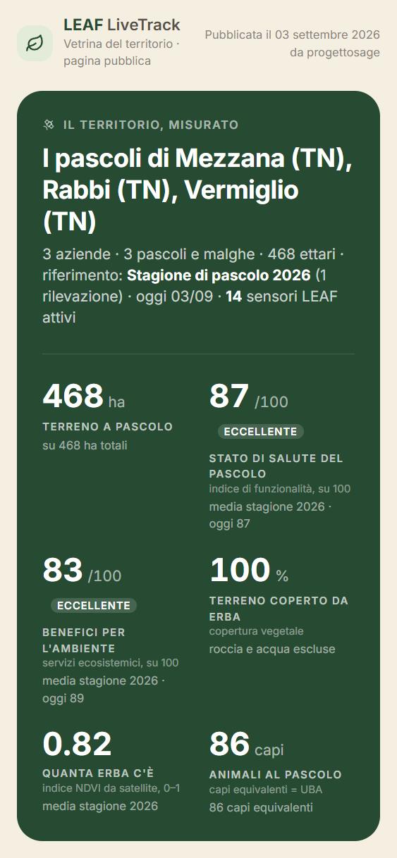 La Vetrina del territorio su telefono